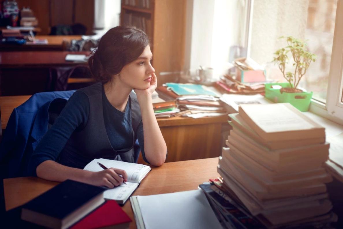 SEO-Lernen online mit Lycorantislo Webinaren